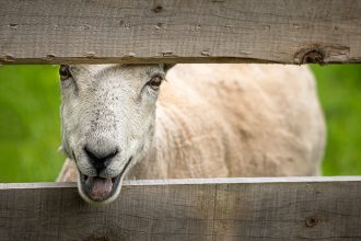 Explore - Old World Wisconsin