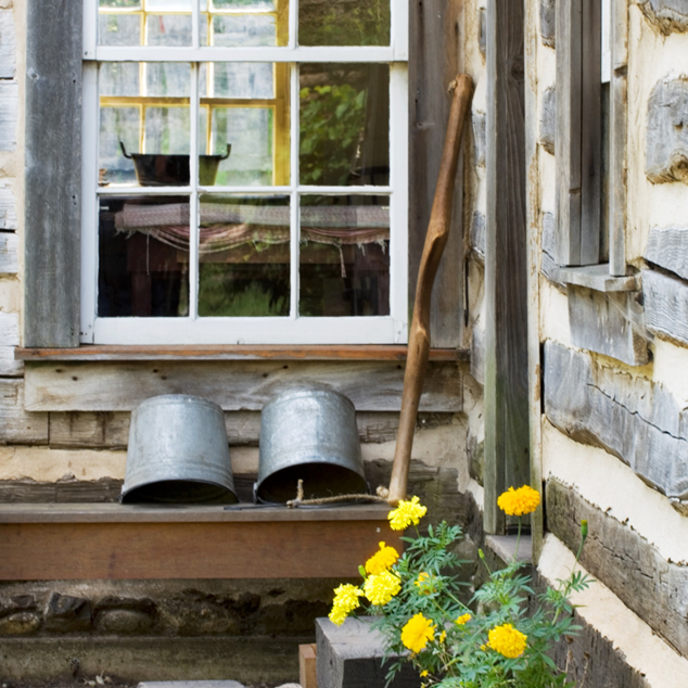 Naturalist Cabin Doorway with yellow flowers, a bucket, and some metal pails in front of the window
